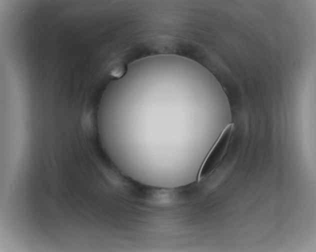 X0000113900088200909241212