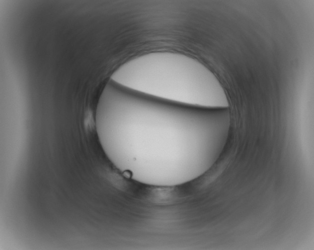 X0000113900089200909241212