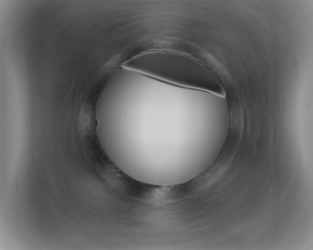 X0000113900092200909241212