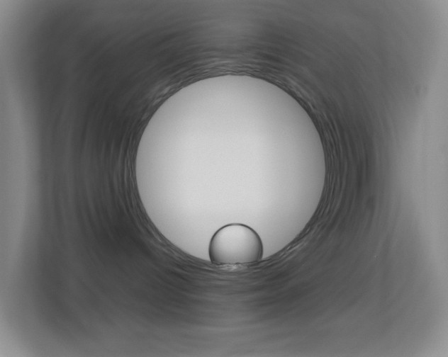 X0000113900096200909241212
