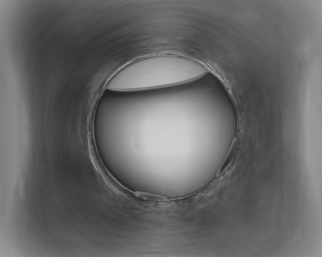 X0000113900097200909241211