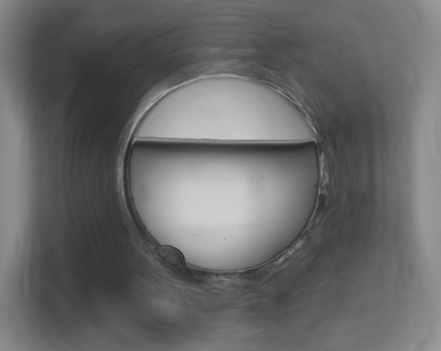 X0000113900099200909241211