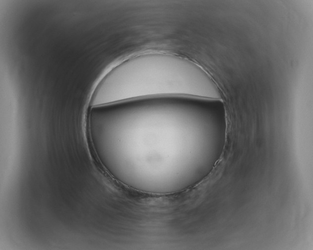 X0000113900100200909241211