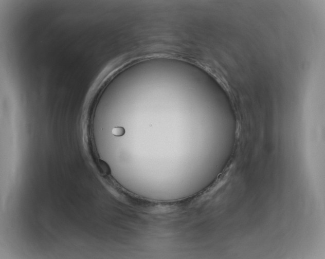 X0000113900101200909241211