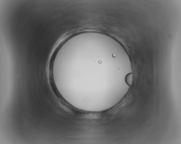X0000113900102200909241211