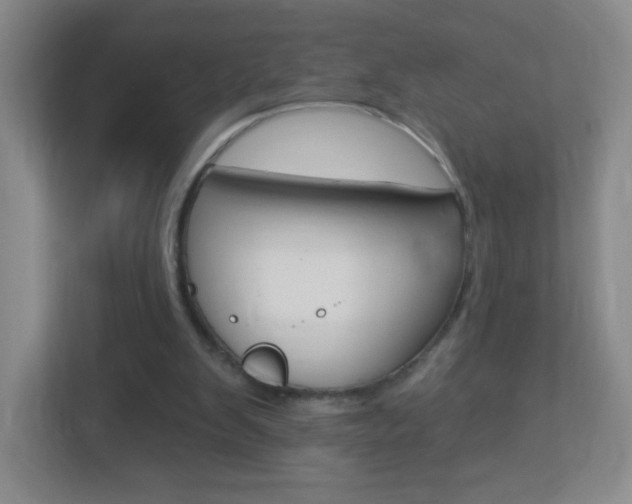 X0000113900103200909241211