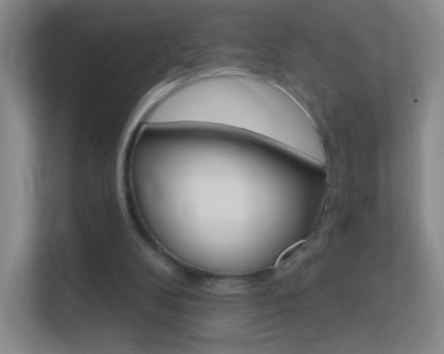 X0000113900104200909241211