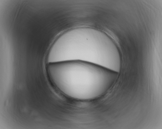 X0000113900107200909241211