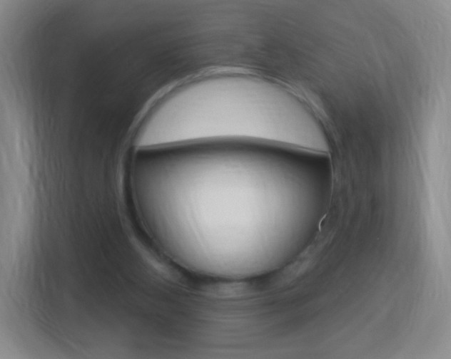 X0000113900108200909241211