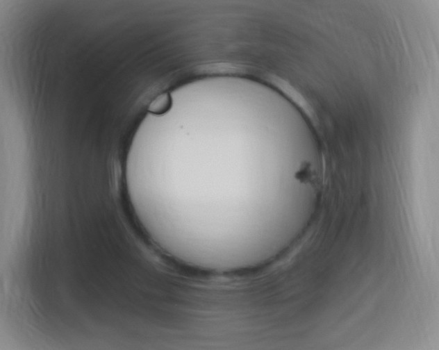 X0000113900109200909241211