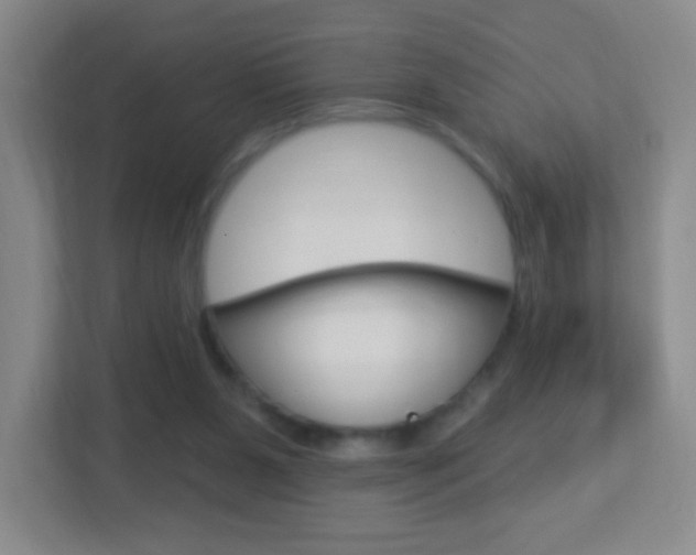 X0000113900111200909241211