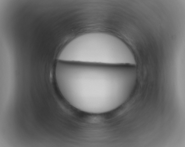 X0000113900115200909241211