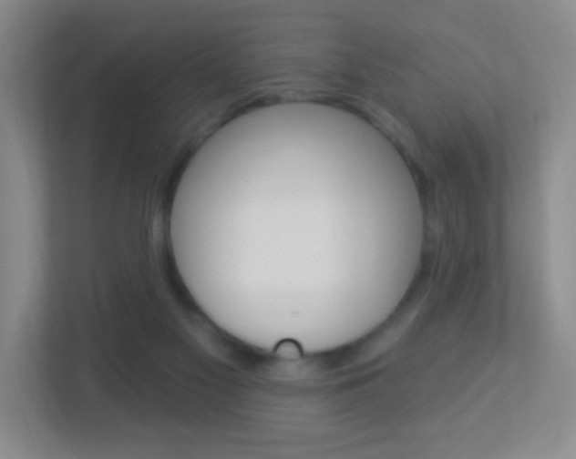 X0000113900117200909241211