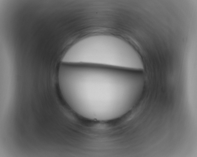 X0000113900119200909241211