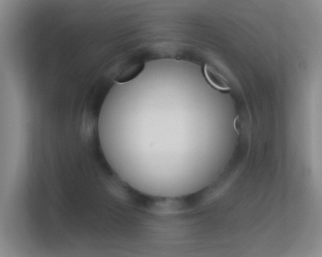 X0000113900125200909241211