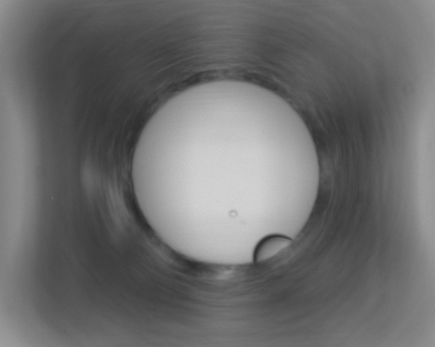 X0000113900130200909241211