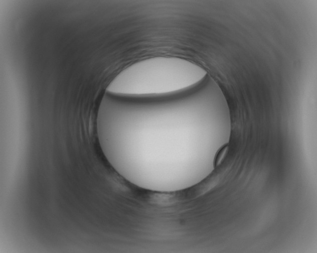 X0000113900139200909241210