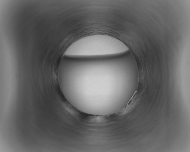 X0000113900140200909241210