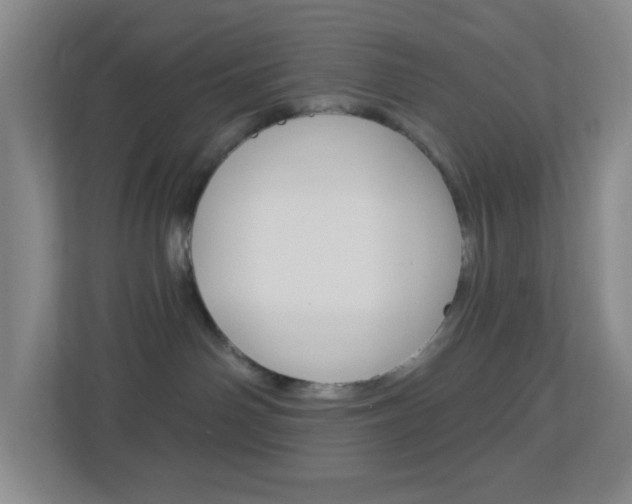 X0000113900142200909241210