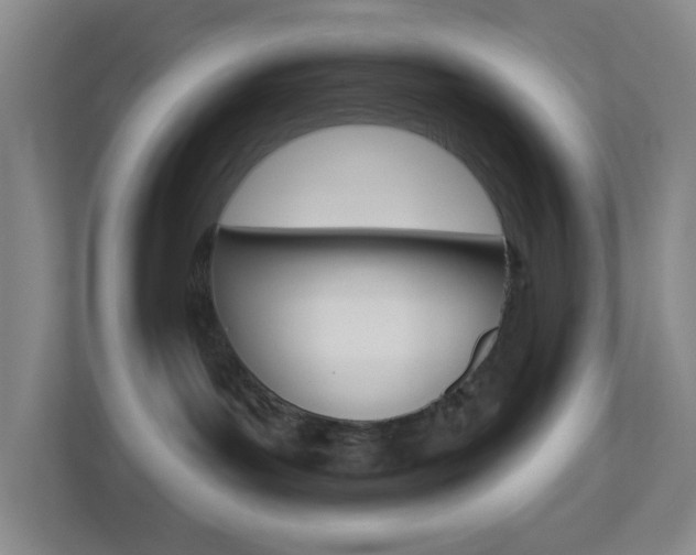 X0000113900143200909241210