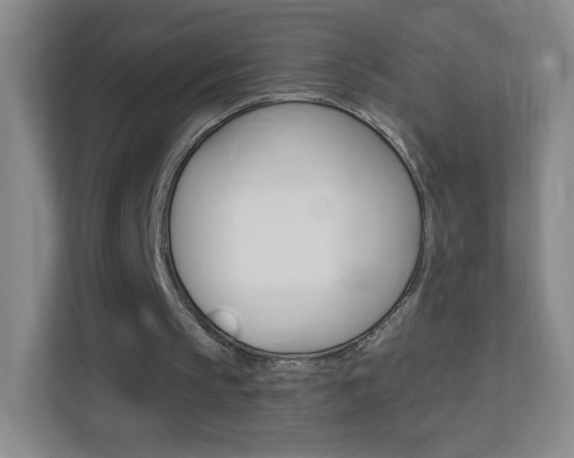 X0000113900145200909241210