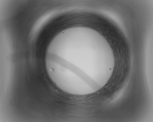 X0000113900146200909241210