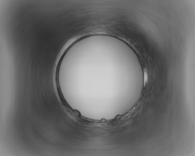 X0000113900147200909241210