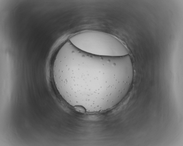 X0000113900149200909241210