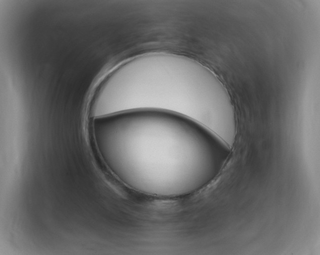 X0000113900150200909241210