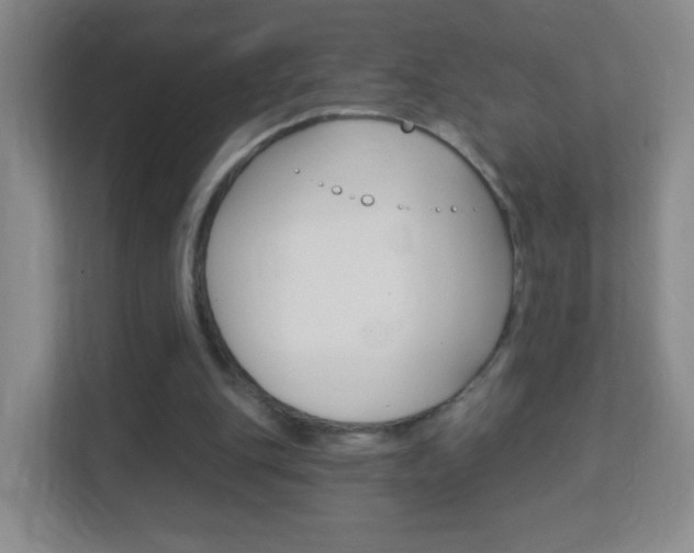 X0000113900151200909241210
