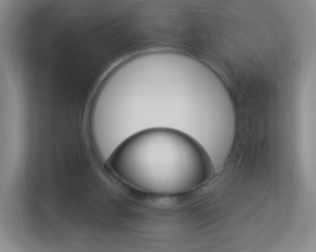 X0000113900156200909241210