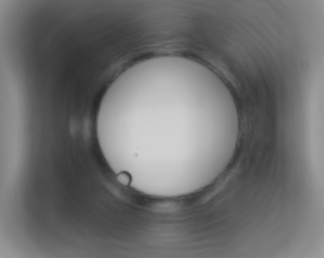 X0000113900161200909241210
