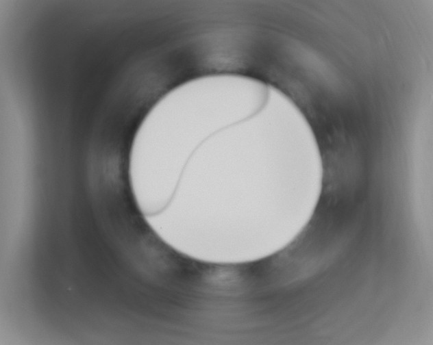 X0000113900162200909241210