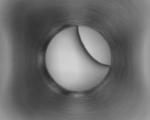 X0000113900165200909241210