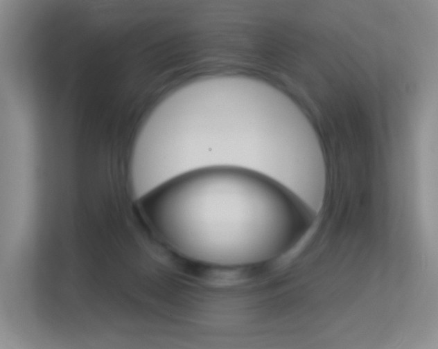 X0000113900170200909241210
