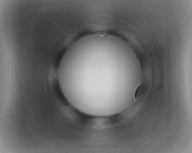 X0000113900172200909241210