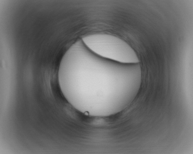 X0000113900177200909241210