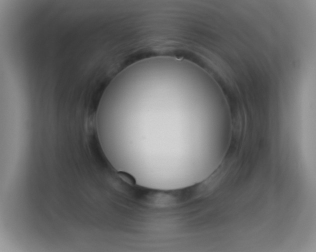X0000113900180200909241210