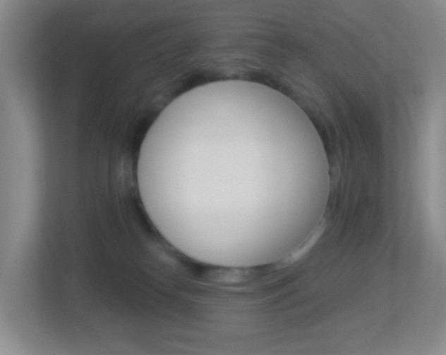 X0000113900182200909241210