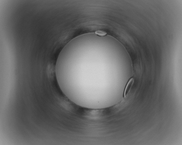 X0000113900184200909241210