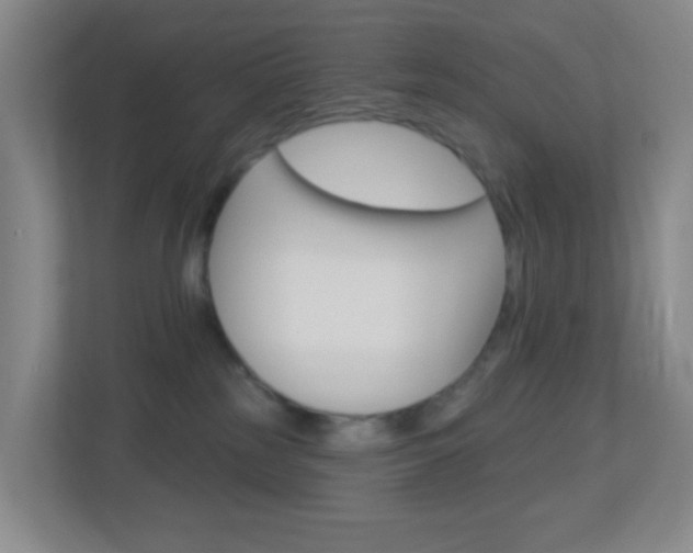 X0000113900185200909241210