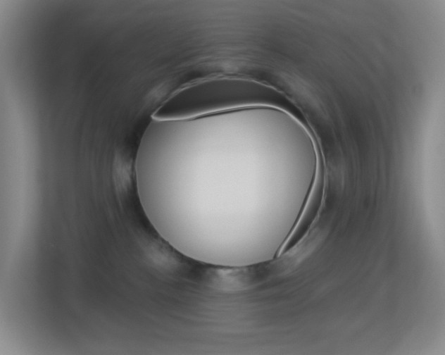 X0000113900188200909241210