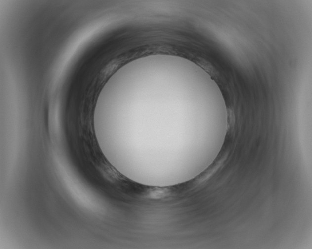 X0000113900189200909241210