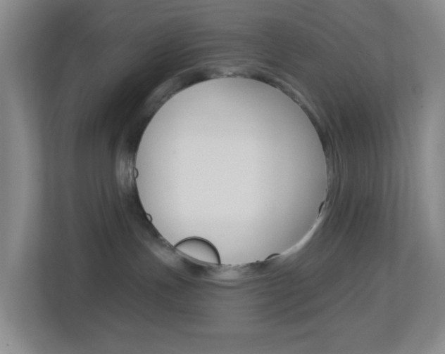 X0000113900191200909241210