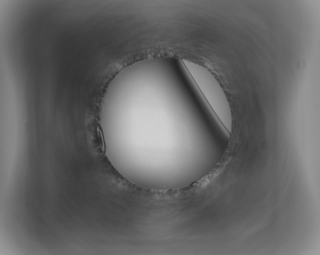 X0000113900192200909241210