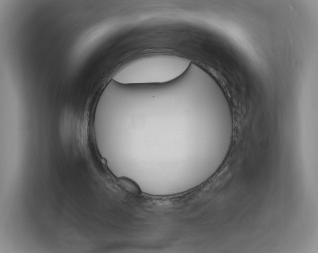 X0000113900194200909241210