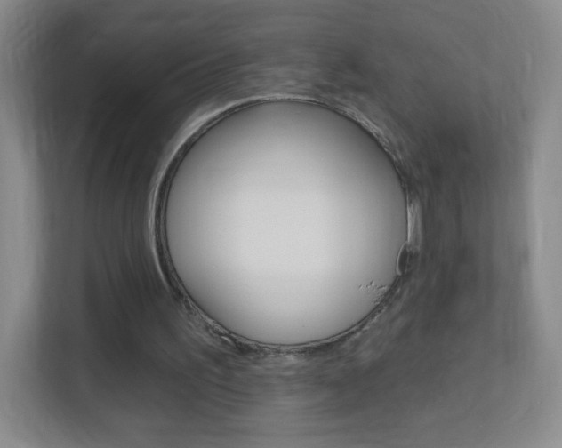 X0000113900195200909241210
