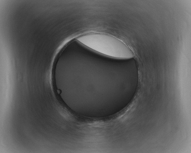 X0000113900196200909241210