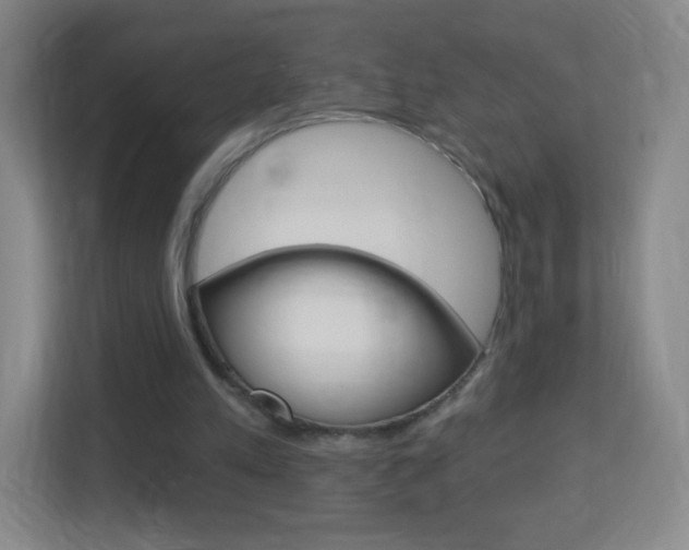 X0000113900197200909241210