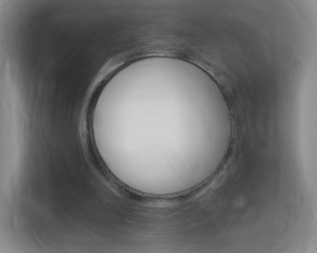 X0000113900198200909241210